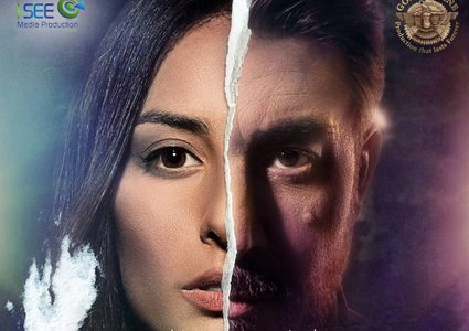 نجوم الفن ينضمون إلى مسلسل هوس