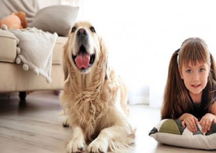 مختصون يحذرون من اخضاع الحيوانات البرية لظروف الحياة المنزلية