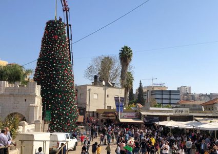 احتفالات بنصب أكبر شجرة ميلاد