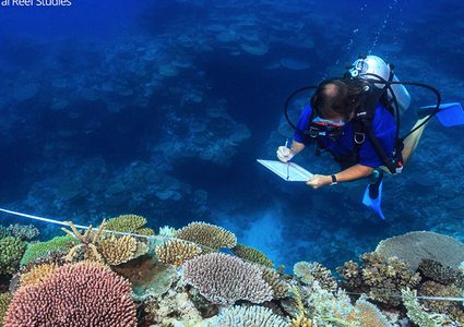 الموسيقى هي الحل الأمثل لإنقاذ الشعاب المرجانية