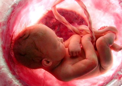 دراسة: الأجنة تكشف الضوء في الثلث الثاني من الحمل