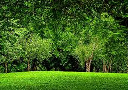 دراسة جديدة تؤكد أن المساحات الخضراء تساعد على إطالة العمر