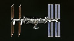 طريقة غير متوقعة لقتل الخلايا السرطانية