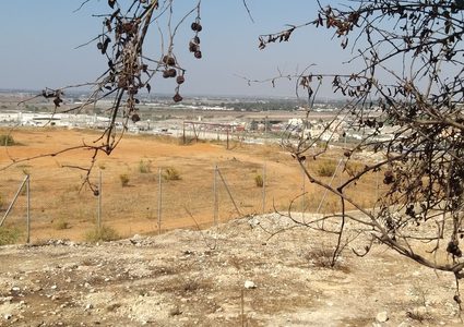 ملعب فرعون النموذجي... يخنقه الاحتلال وينتظر التأهيل