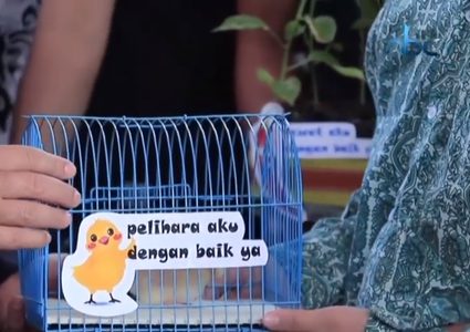 "الكتاكيت" تحارب استخدام الهواتف الذكية في المدارس