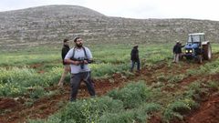 مستوطنون يمنعون مزارعا من حراثة أرضه بقرية شوفة