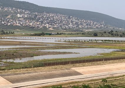 تقدُّم في قضية التأمين الزراعي في سهل البطوف