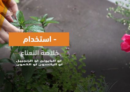 طرق للتخلص من حرقة المعدة .. تعرف عليها