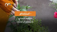 طرق للتخلص من حرقة المعدة .. تعرف عليها