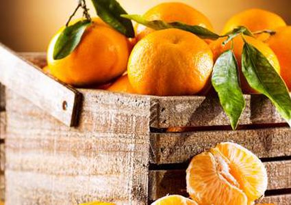 أهم الفوائد الصحية والجمالية لفاكهة اليوسفي