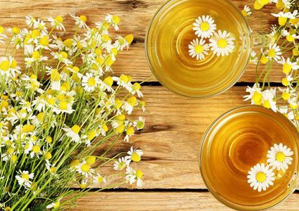 أهم الفوائد الصحية لعشبة البابونج