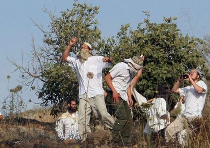 مستوطنون يهاجمون مركبات المواطنين شرق بيت لحم