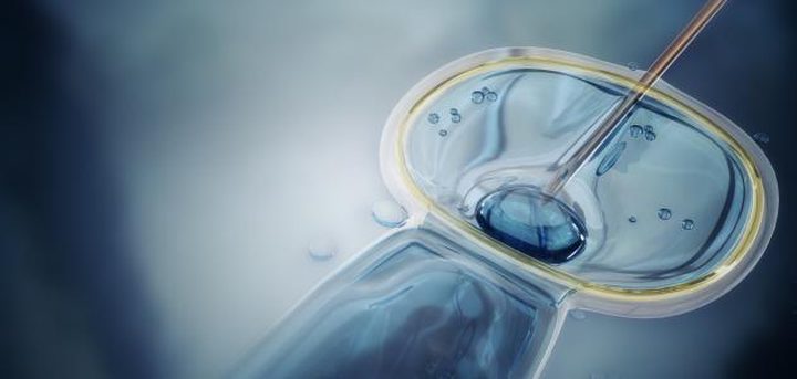 دراسة: طريقة الحقن المجهري تعرض الأطفال لمرض قاتل