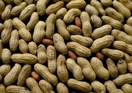 الصين.. رضيع ينجو من الموت بأعجوبة بعد تناوله الفول السوداني