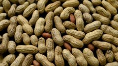 الصين.. رضيع ينجو من الموت بأعجوبة بعد تناوله الفول السوداني
