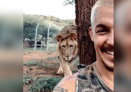 شاهد فيديو "الشاب والأسد" الذي حقق ملايين المشاهدات