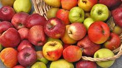 فوائد تناول تفاحتين يومياً