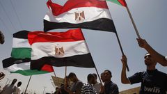 مصر تؤكد دعمها للقضية الفلسطينية