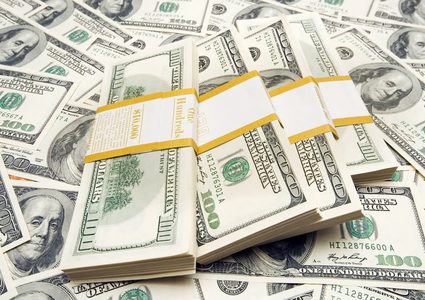 في حادثة غريبة من نوعها.. فأر يتغذى على 50 ألف دولار