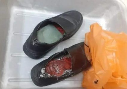 الاحتلال يزعم إحباط محاولة تهريب عصافير نادرة