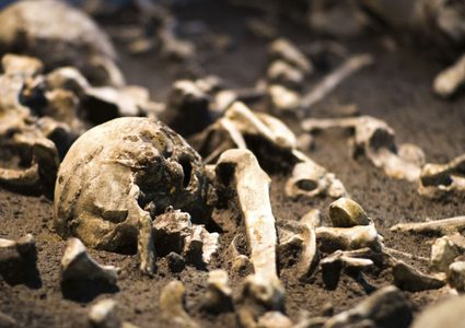 العثور على هيكل عظمي نادر لقزم