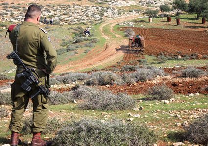 مستوطن يستولي على أرض زراعية في الأغوار الشمالية