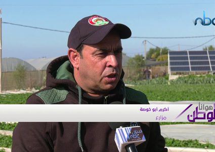 لأول مرة في قطاع غزة...الذهب الأحمر يصل أوروبا ودول الخليج