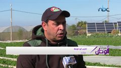 لأول مرة في قطاع غزة...الذهب الأحمر يصل أوروبا ودول الخليج