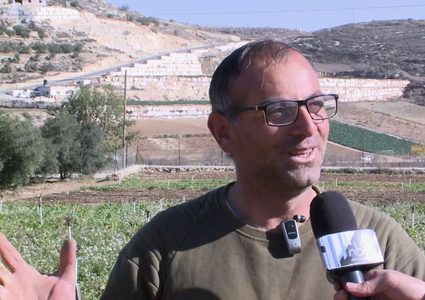 الحدب...قرية بمحافظة الخليل تشتهر بزراعة اللفت