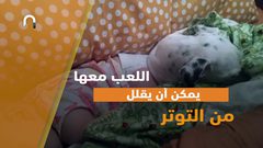 امتلاك الطفل كلب مفيد له .. كيف ذلك؟