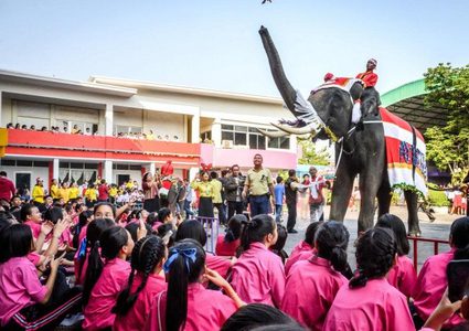 تايلاند.. مدرسة تستعين بالأفيال لتوزيع هدايا رأس السنة على الطلاب