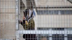 41 أسيرة في سجون الاحتلال