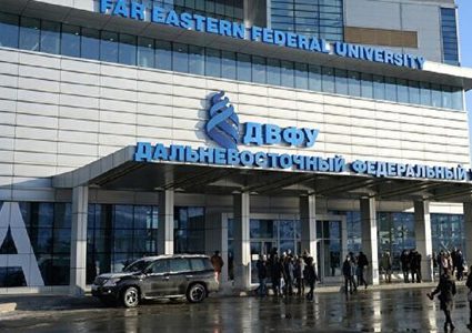 اكتشاف طحالب قادرة على إبطاء نمو السرطان