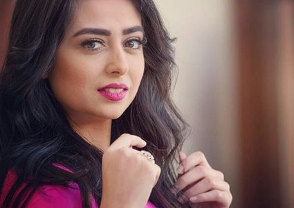 الجمهور يهاجم الفنانة هبة مجدي بسب اخفاء صور ابنتها