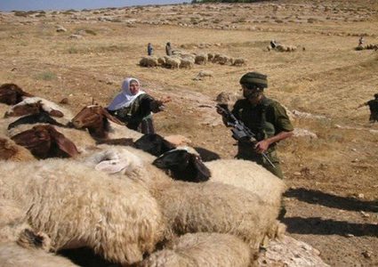 اخطارات بوقف العمل في أرض بالأغوار الشمالية