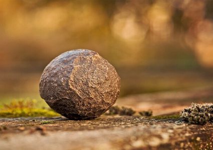 بعد 37 عاما.. إكتشف أنه يملك صخرة أغلى من الذهب !