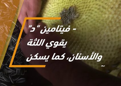 فوائد اللب السوري .. تعرف عليها