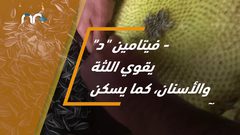 فوائد اللب السوري .. تعرف عليها