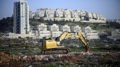 خبراء : 2019 عام الاستيطان والأعوام القادمة ستشهد المزيد