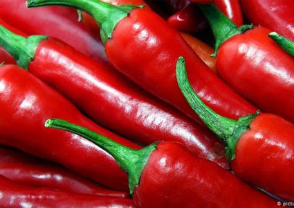 أطعمة تحفز جسمك على حرق الدهون