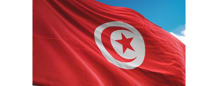 تونس تمثل العرب بمجلس الأمن