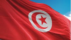 تونس تمثل العرب بمجلس الأمن