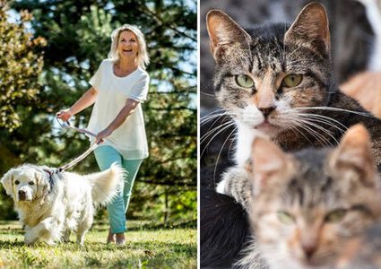 بريطانيا تخير أصحاب الحيوانات الأليفة بين الغرامة والرقاقة !