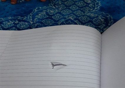 رصاصة طائشة تخترق كتاب شابة