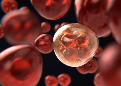 8 أنواع من السرطان يمكن علاجها بفاعلية بالتوابل