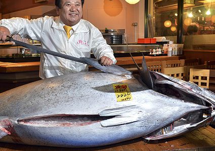 اليابان.. بيع سمكة التونة ذات الزعنفة الزرقاء بنحو مليوني دولار