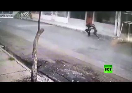 شاهد .. كلبان يتصديان لمحاولة سرقة امرأة