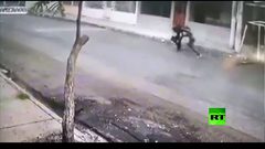 شاهد .. كلبان يتصديان لمحاولة سرقة امرأة