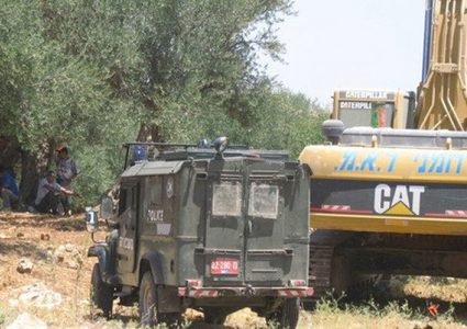 الاحتلال يجرّف 50 دونما من أراضي الخليل