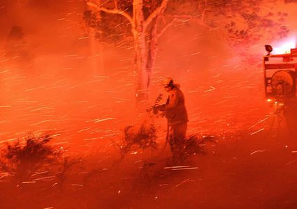 حرائق أستراليا تحيل 10 ملايين هكتار من الغابات إلى رماد